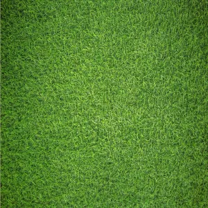 Natural Grass - Impuzzible No.7 - 1000 or 500 Piece Jigsaw Puzzle