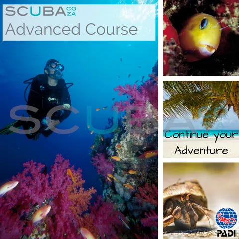 PADI Advanced SCUBA Diving Course Special   FREE Nitrox