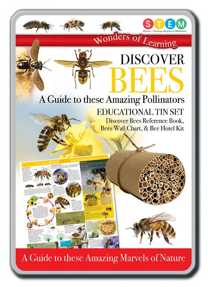 Tin Set - Discover Bees