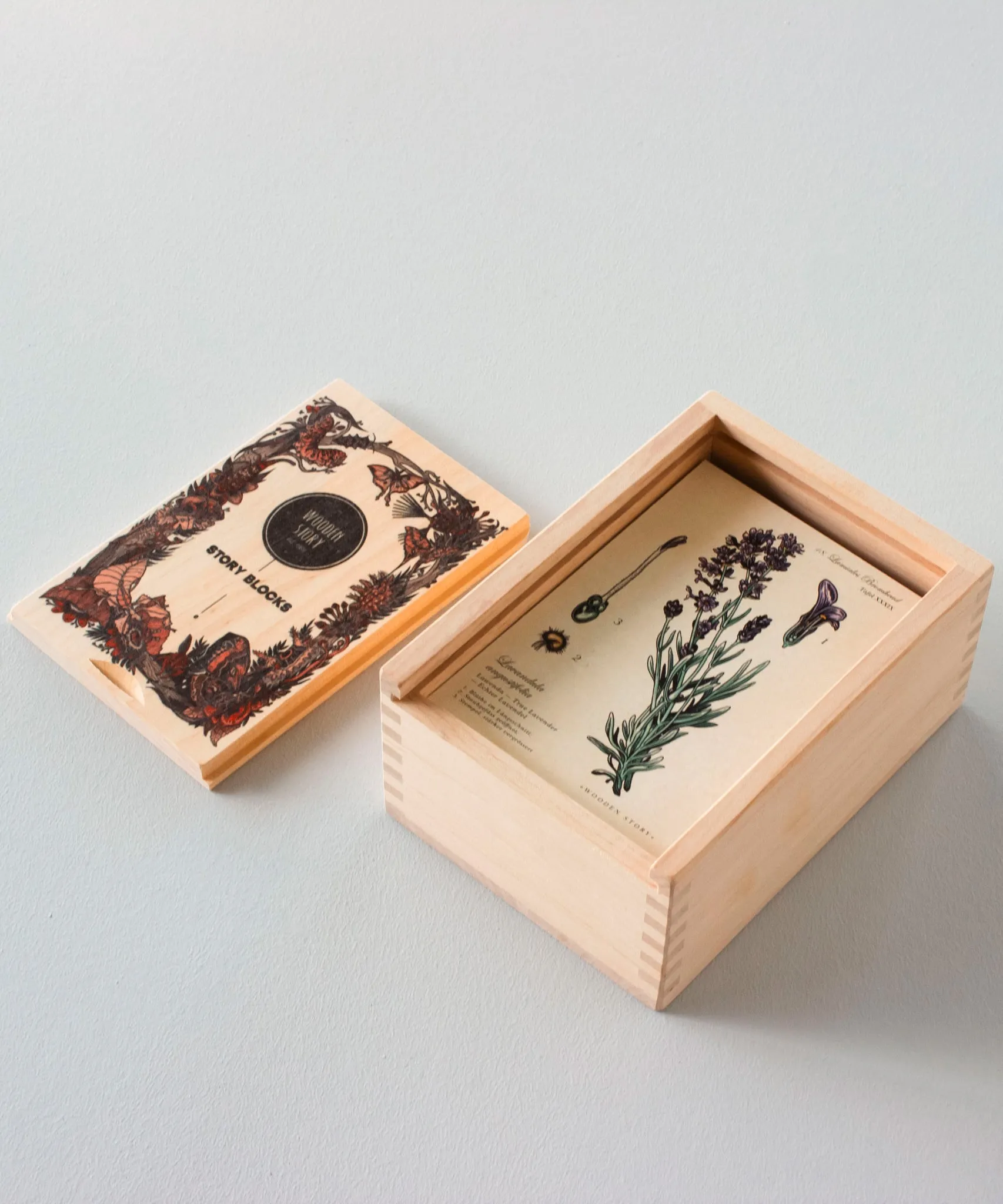 Wooden Story Puzzle Blocks - Plants