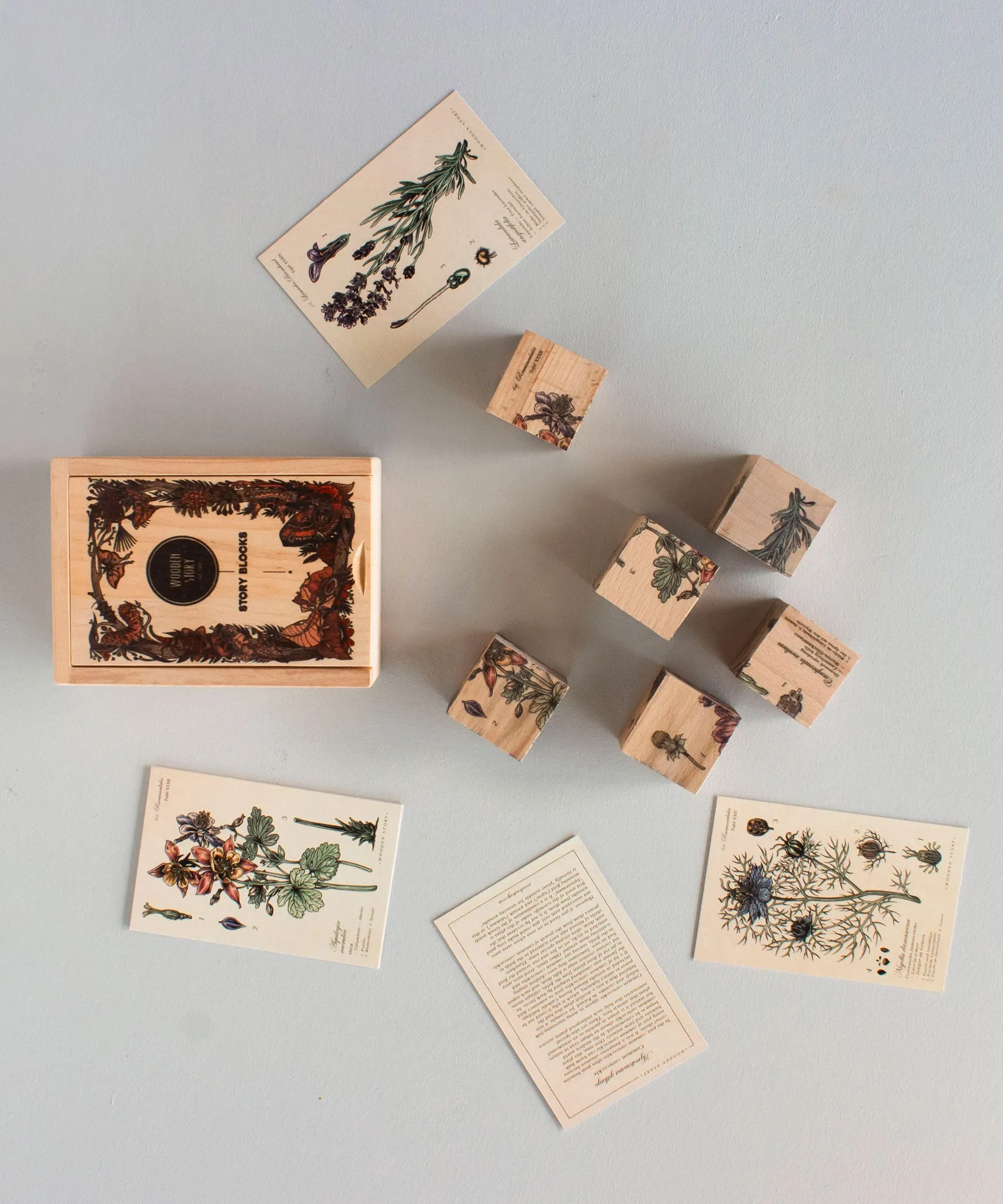 Wooden Story Puzzle Blocks - Plants