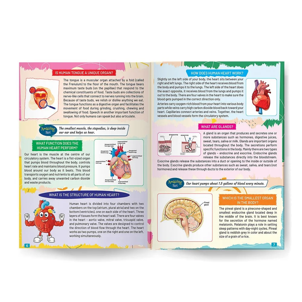 Young Minds Encyclopedia - Set of 2 Books - Animals and Human Body Encyclopedia For Kids